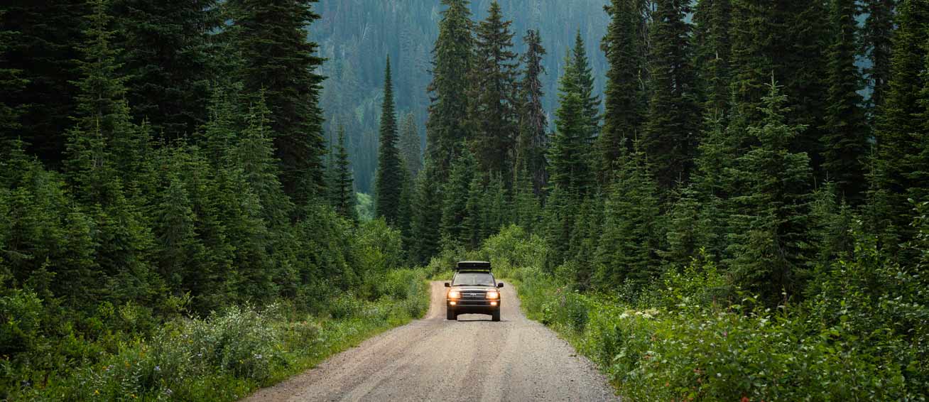 General Bottom Image