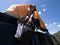 REV TENT SHOE BAG